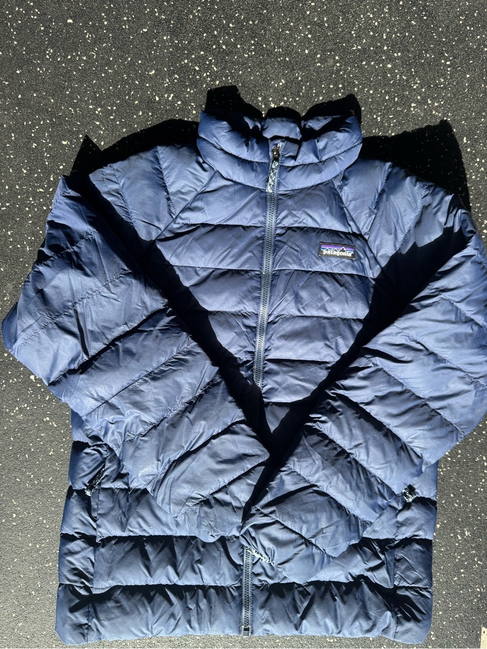 Patagonia kids youth 12 size L down jacket